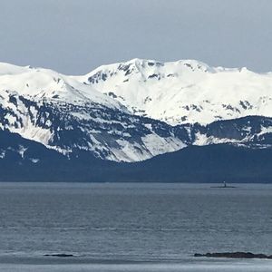 Meet your Posher, Posh